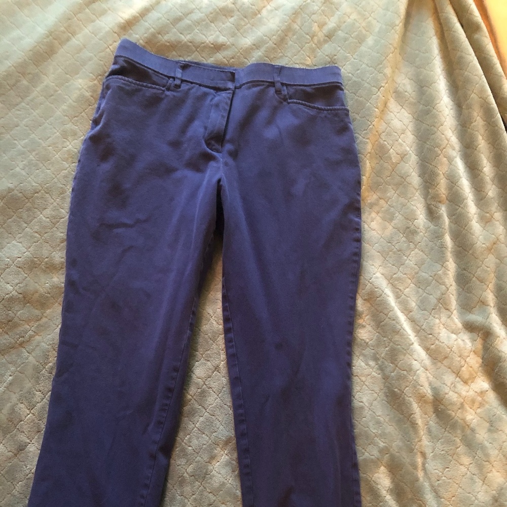Isaac Mizrahi Live! Blue Pants Size 12